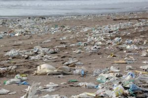 Plastiktüten Reduzierung nicht ausreichend