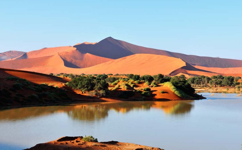 Grünes Namibia - Wenn die Wüste erwacht