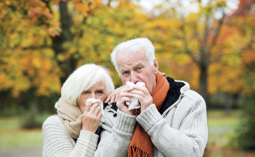 Immunabwehr bei Senioren stärken