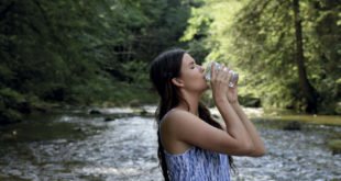 Glas oder Plastik-Was ist umweltfreundlicher