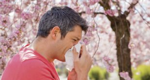 Pollen Hausstaub Schimmel - Tipps für Allergiker