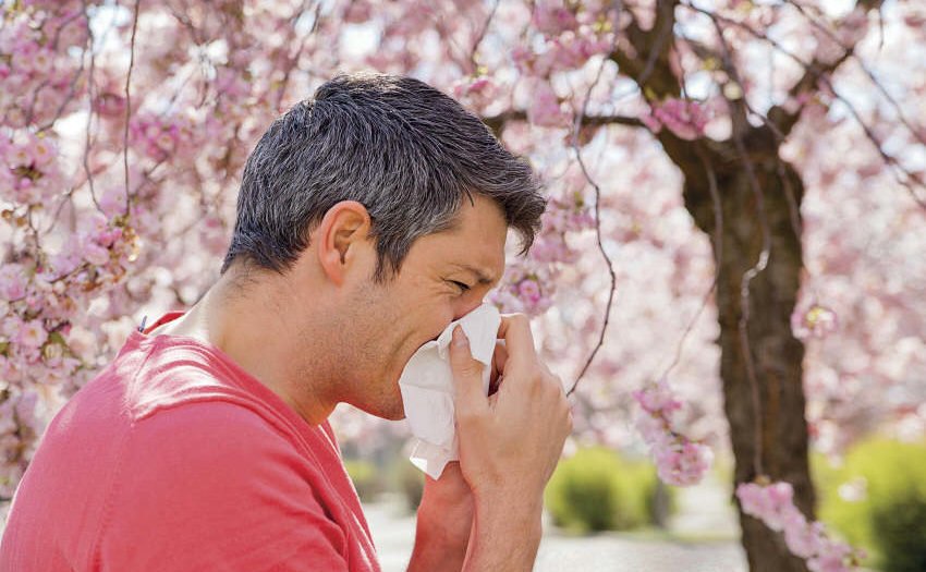 Pollen Hausstaub Schimmel - Tipps für Allergiker