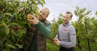 Hilfe für die lokale Landwirtschaft