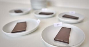 Lidl - Stiftung Warentest bewertet Schokolade