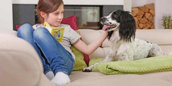 Gesunde Gelenke für Hund und Katze
