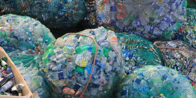 Plastikmüll - 50 Mio. USD für mehr PET-Recycling