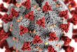 Covid-19 Biontech Pfizer-Impfstoff enthält Nanopartikel