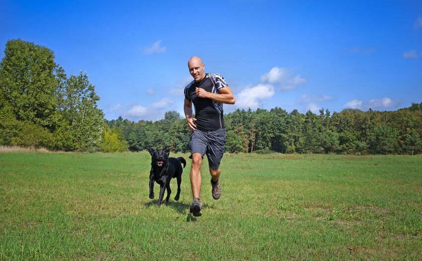 Outdoor-Aktivitäten - Draußen spielt das Hundeleben