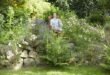 Hecken-Sträucher-Büsche - Sommerfrische im Garten