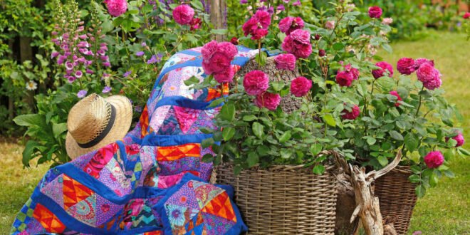 Duftvielfalt der Rose - Garten erleben