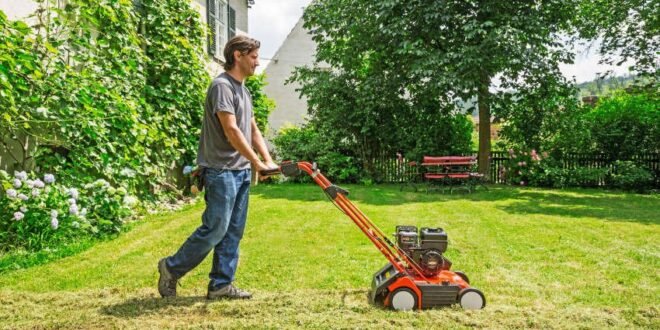 Rasen pflegen - 6 Tipps für gesundes Wachstum